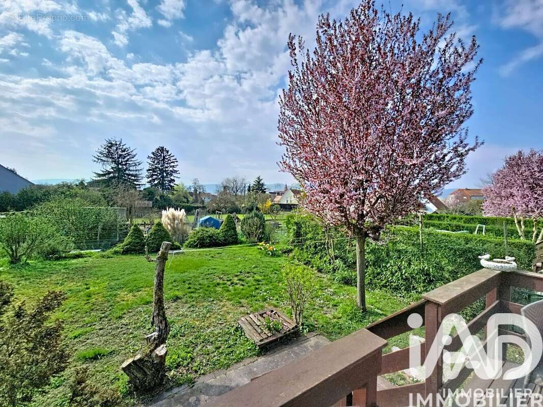 Photo 5 - Appartement à HERRLISHEIM-PRES-COLMAR
