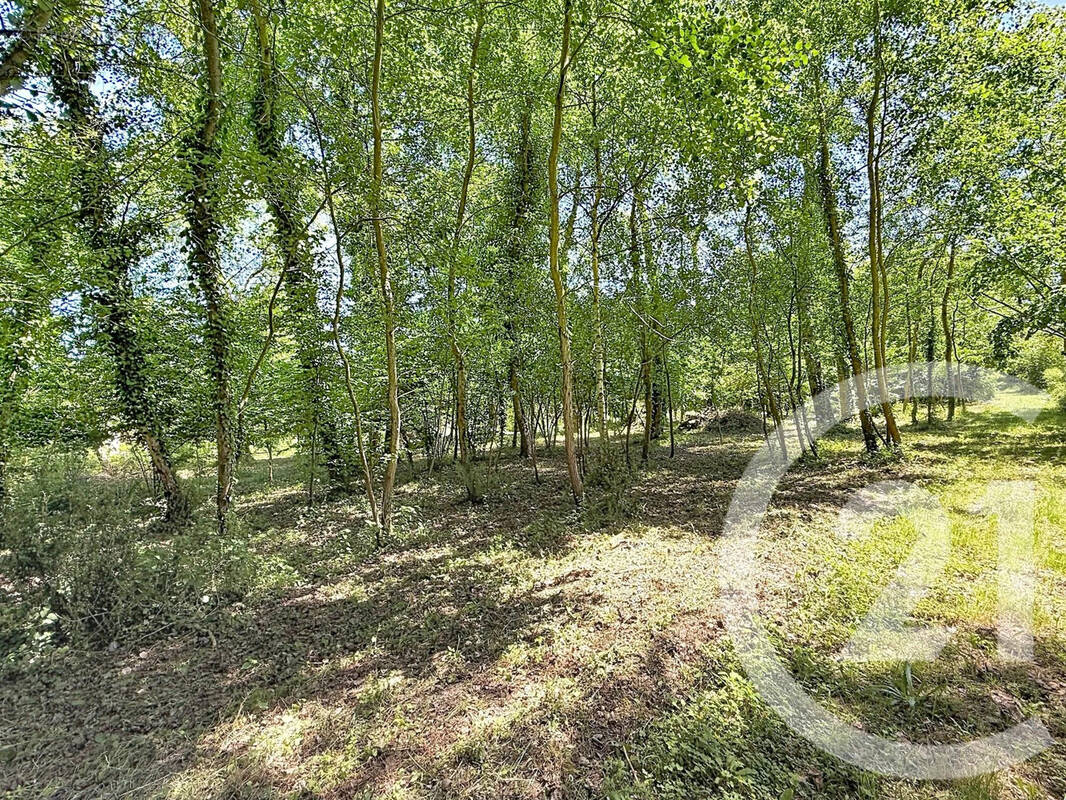 Terrain à LA FERTE-SAINT-AUBIN