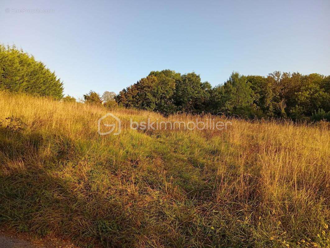 Terrain à SAINTE-GENEVIEVE