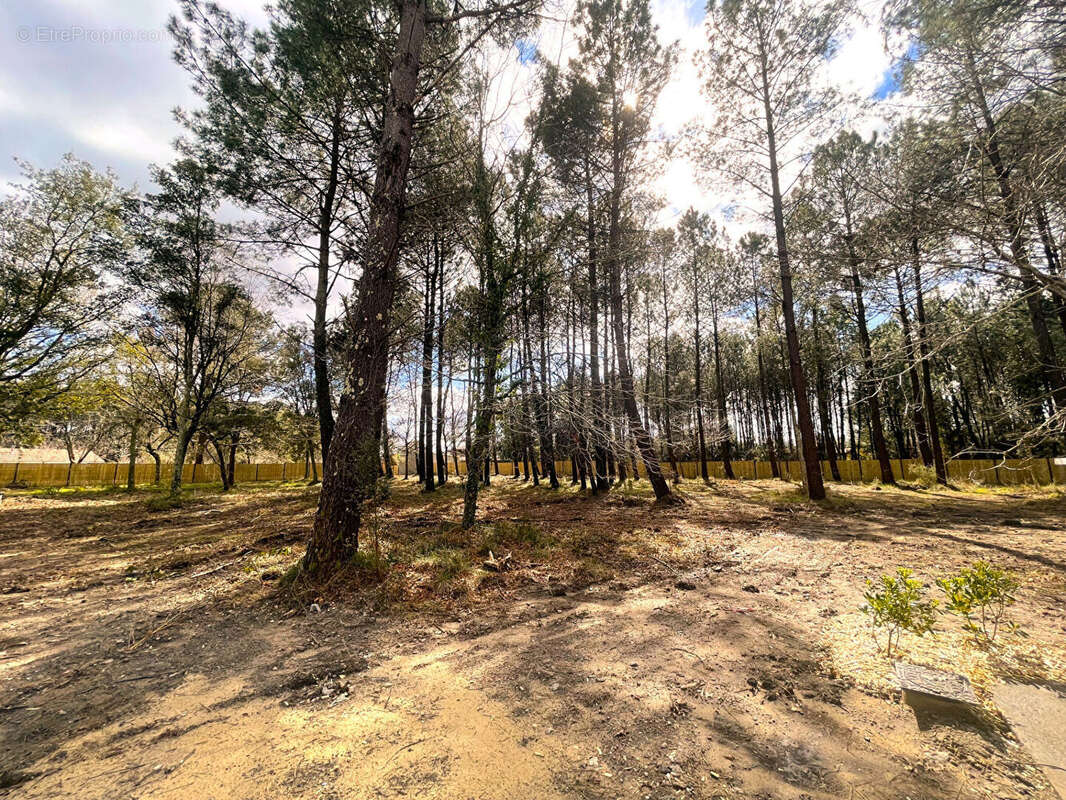 Terrain à SEIGNOSSE