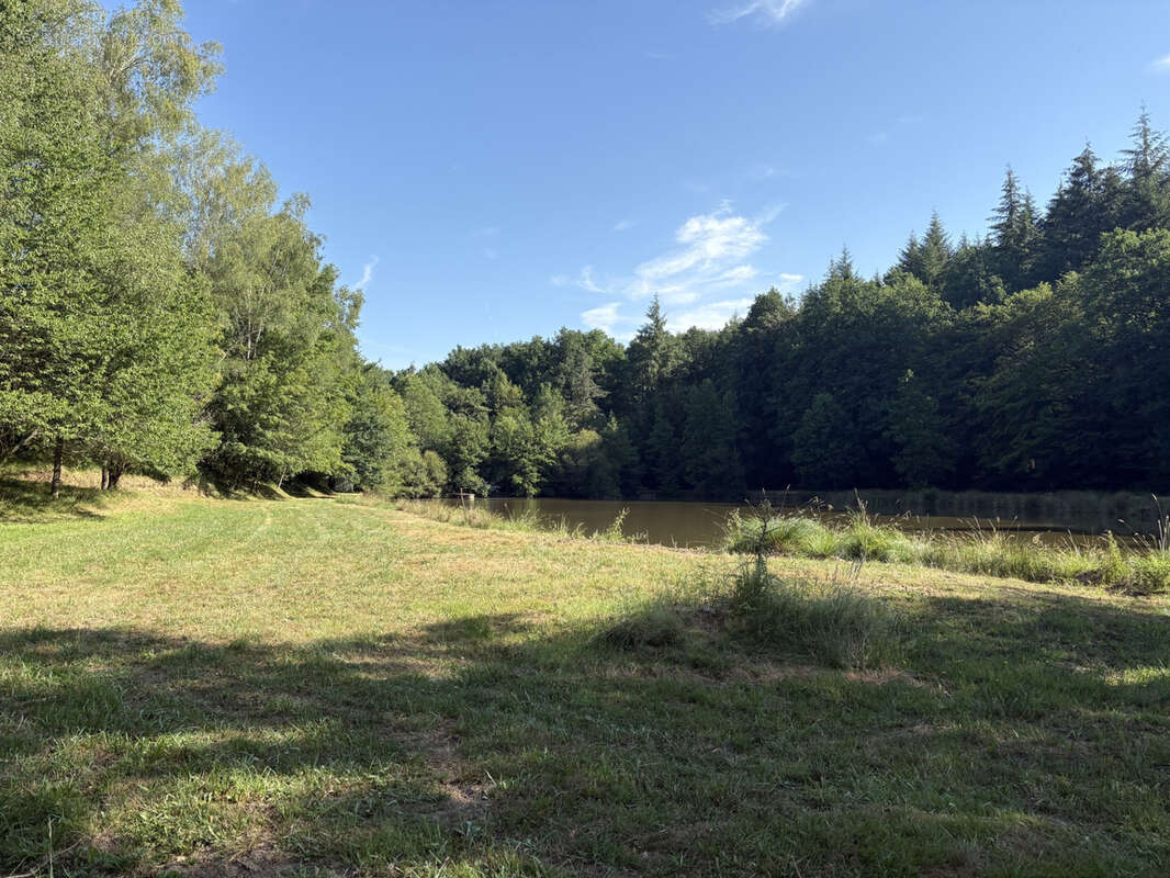 Bussière Galant un étang de loisir avec 1.4 ha de terrain boisé - photo 2