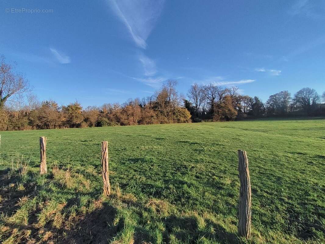 Terrain à BELLERIVE-SUR-ALLIER