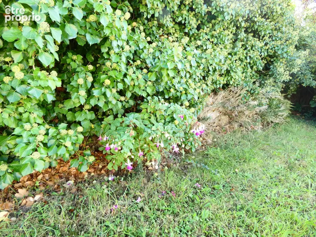 A proximité de toutes les commodités - photo 4