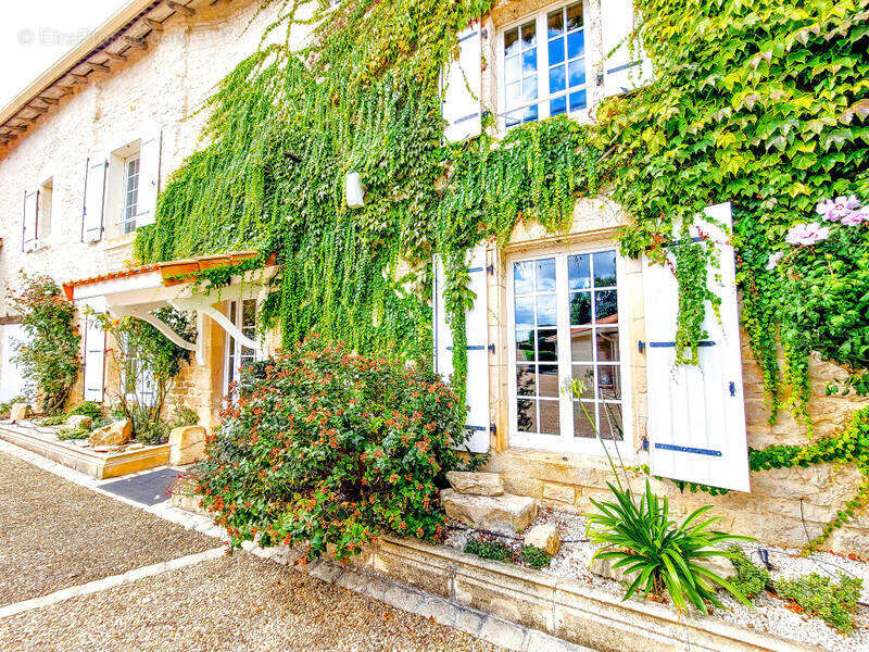 13 AOUT - COURTYARD - Maison à CHENON