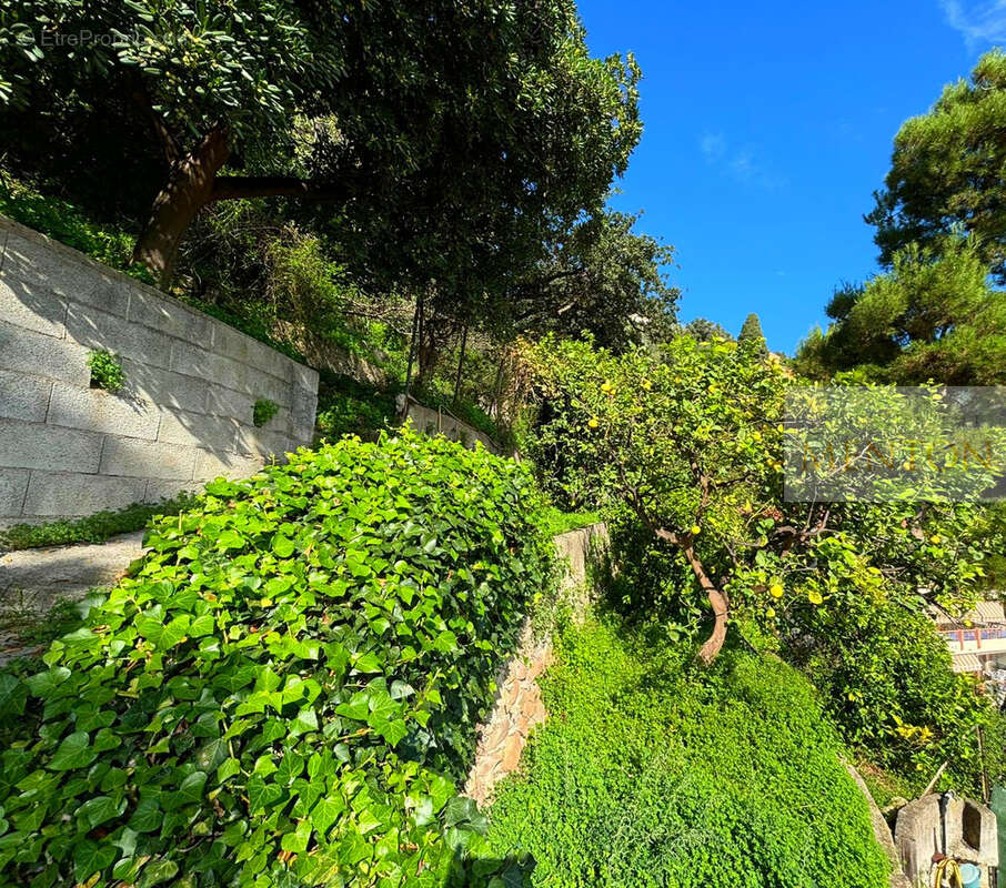 Maison à MENTON