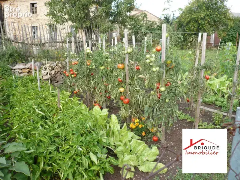 Maison avec dépendance et terrain - photo 7