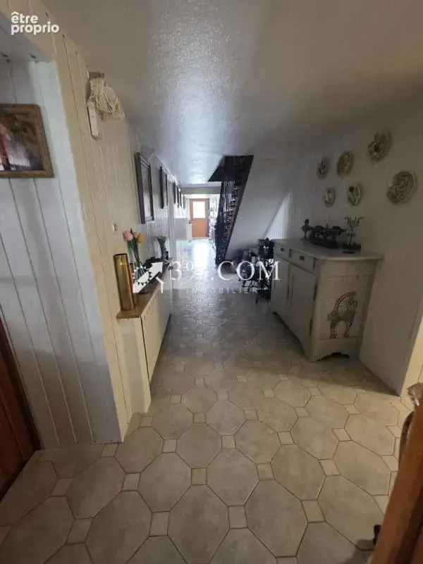Spacieuse Maison Familiale de 340 m2 à Damelevieres (54360) - photo 15