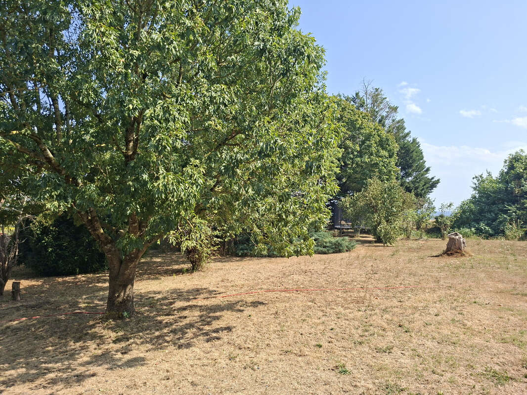 Maison spacieuse avec gîte - photo 15
