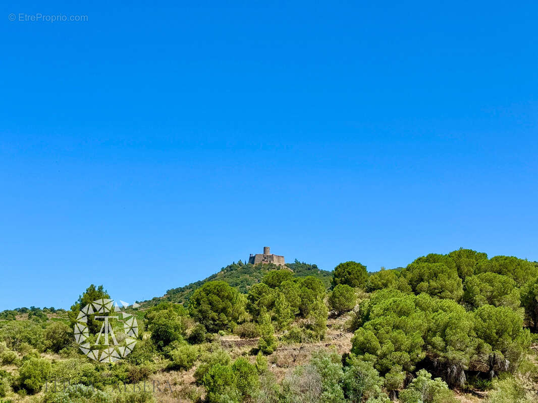 Appartement à COLLIOURE