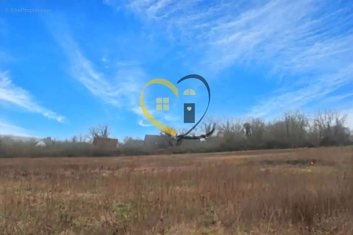 Terrain à CHISSEAUX