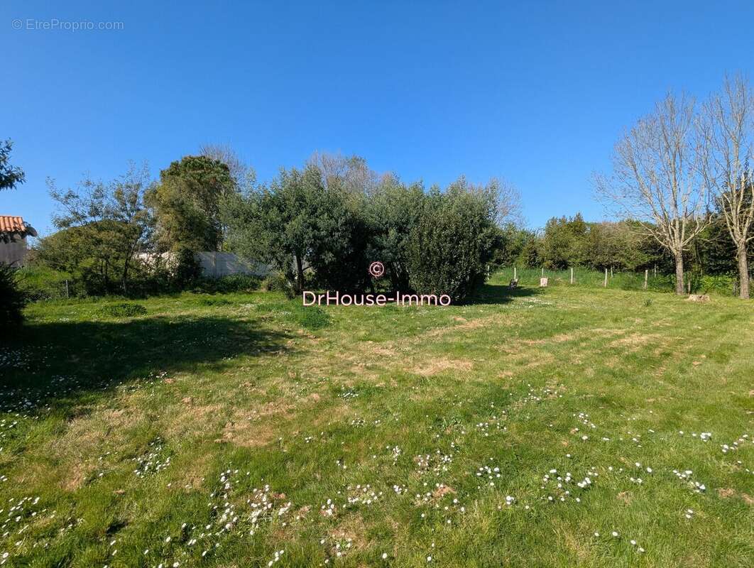 Terrain 641 m² à L'ile-D'olonne  - photo 18