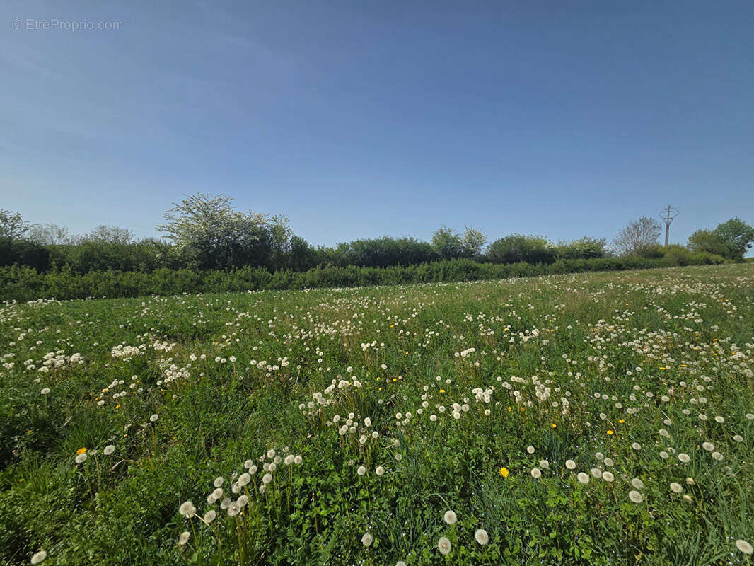 Corps de ferme en pierres avec une vue campagne sur son terrain de près de 2 400m² - photo 6