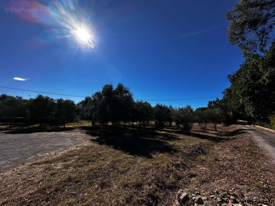 Terrain à PUGET-SUR-ARGENS