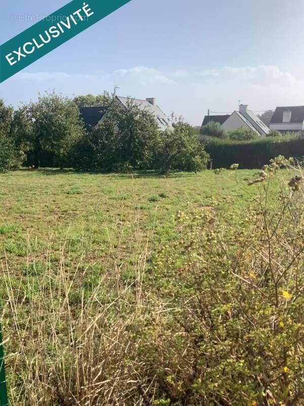 Photo 2 - Terrain à CLOHARS-CARNOET