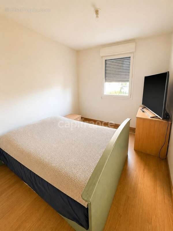 Appartement à COLOMIERS