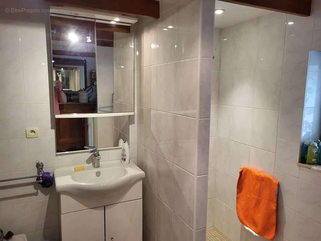 Maison à SAINT-SAVIN