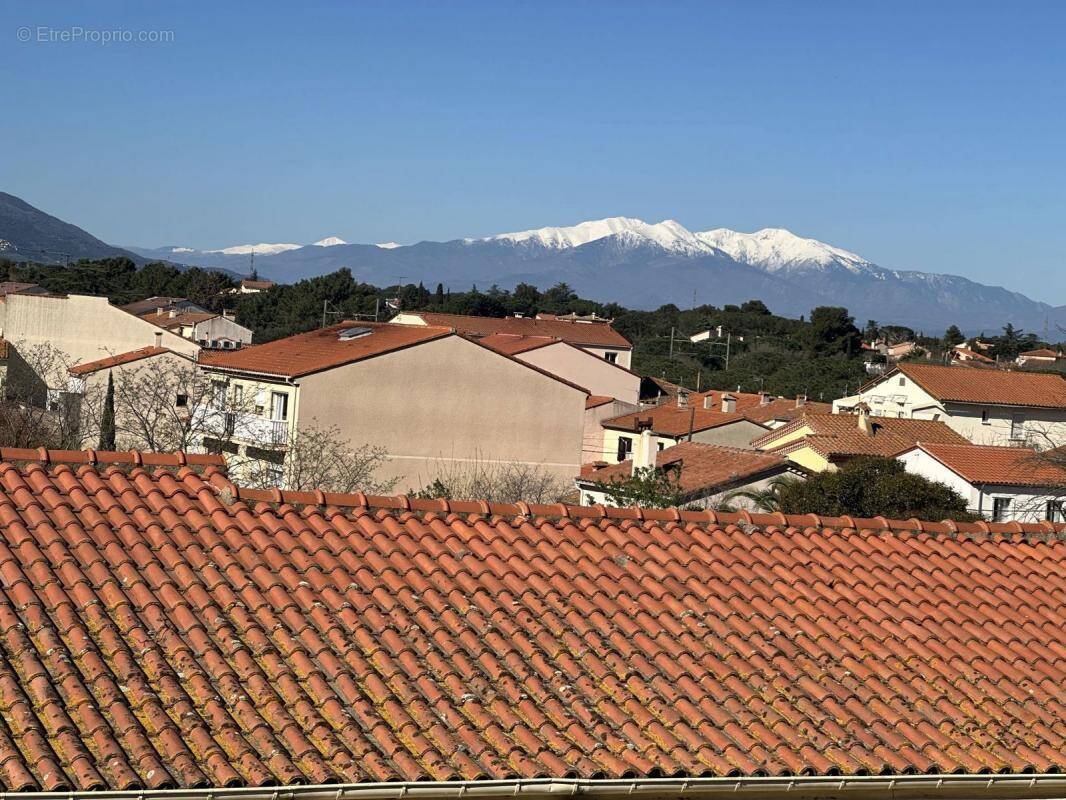 Commerce à ARGELES-SUR-MER