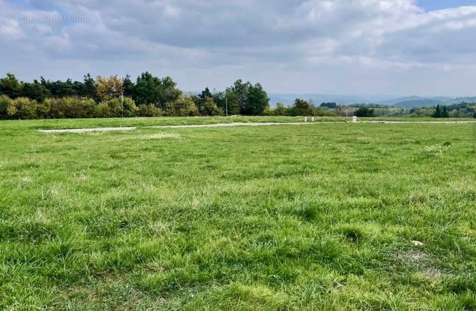 Terrain à VION