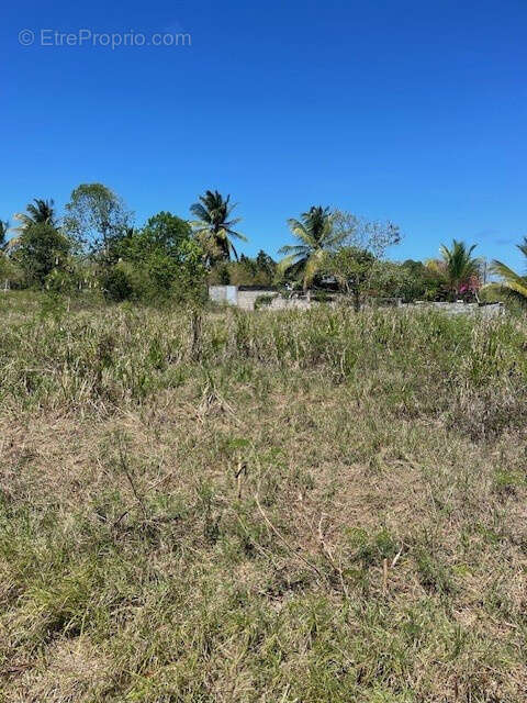 Terrain à ANSE-BERTRAND