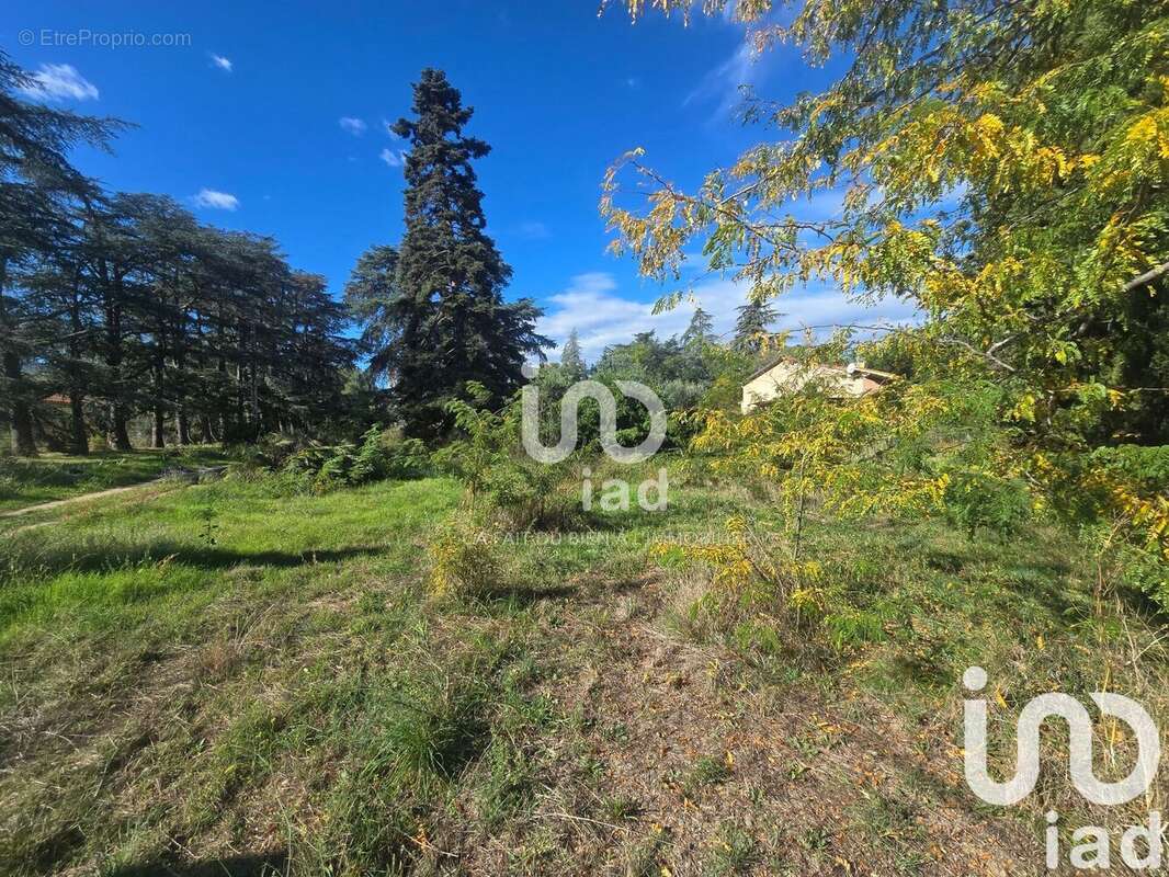 Photo 5 - Terrain à SAINT-JEAN-PLA-DE-CORTS