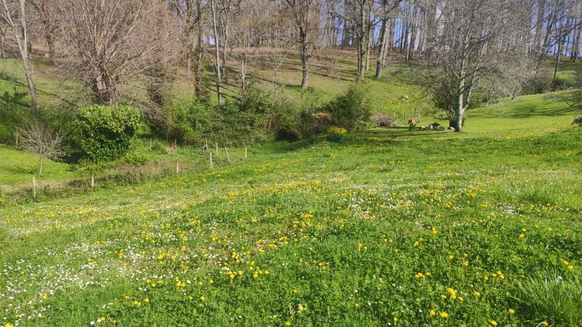 Terrain à SALIES-DE-BEARN