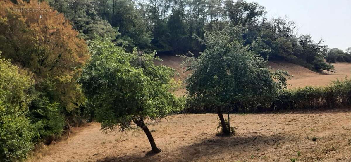 Fermette a rénover avec ses dépendances, sur 2,7 ha de terrain dans cadre bucolique - photo 36