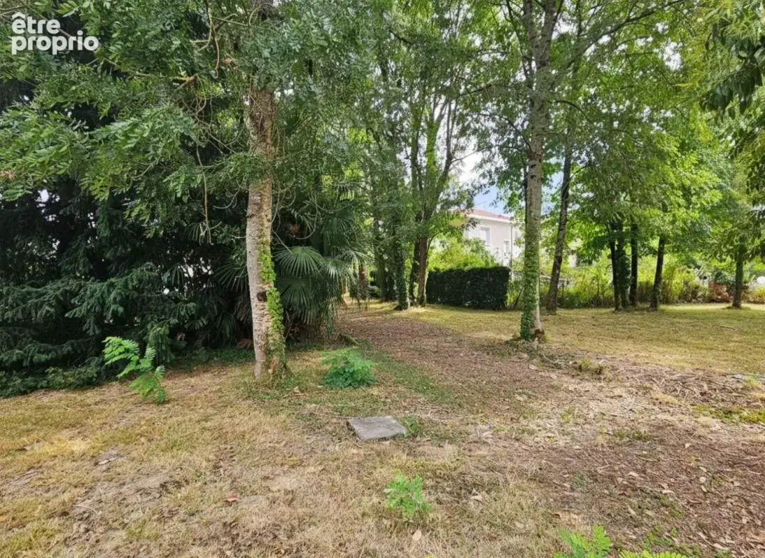 Maison 315 m² à Clairac  - photo 2