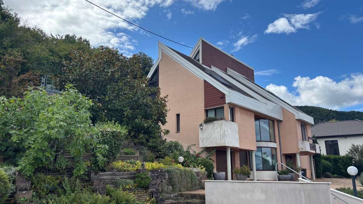 Maison Wintzenheim 10 pièce(s) 299.77 m2 - photo 6
