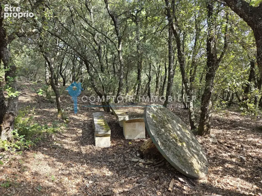 Terrain forestier avec ruine - photo 4