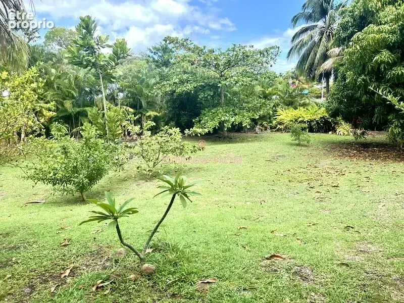 Maison 4 pièces 107 m² à vendre à Deshaies (97126) - photo 26