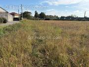 Terrain à SAUVETERRE-DE-BEARN