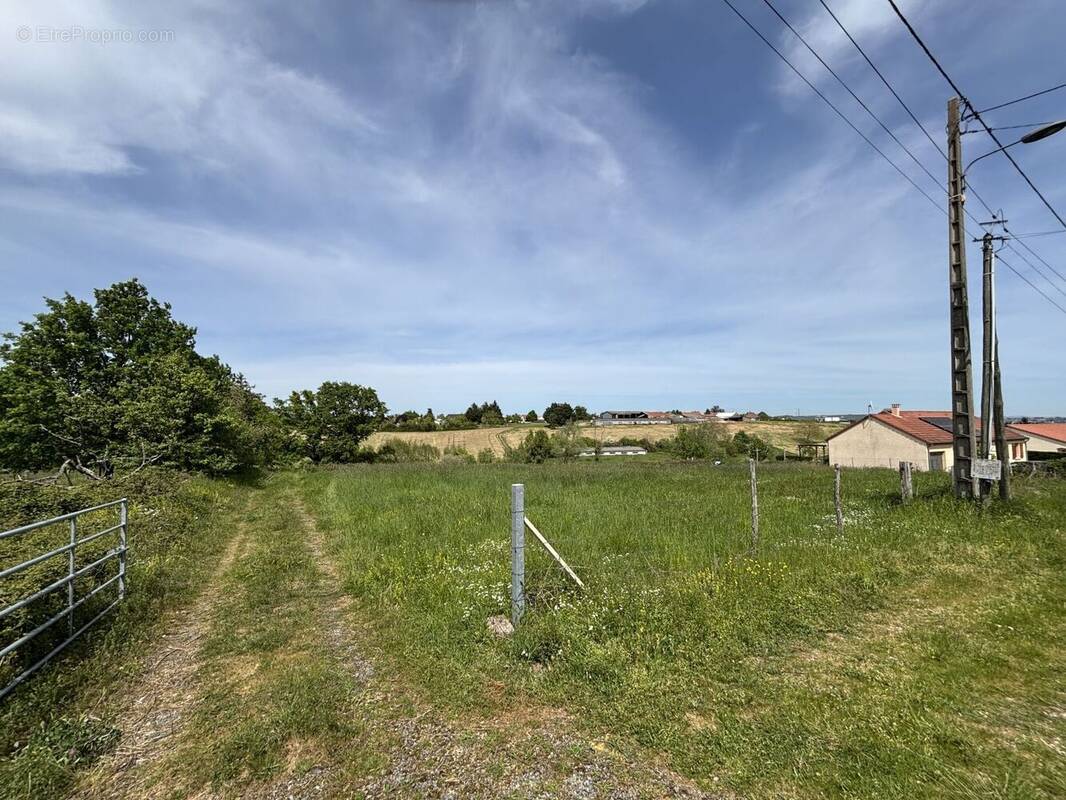 Terrain à SAINT-REMY-EN-ROLLAT