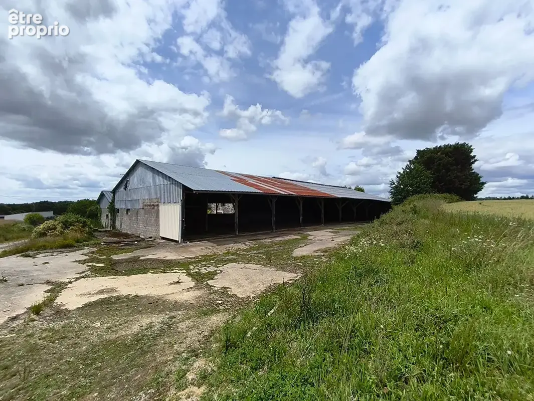 VITRE (35) - propriété rurale sur 7ha. - photo 10