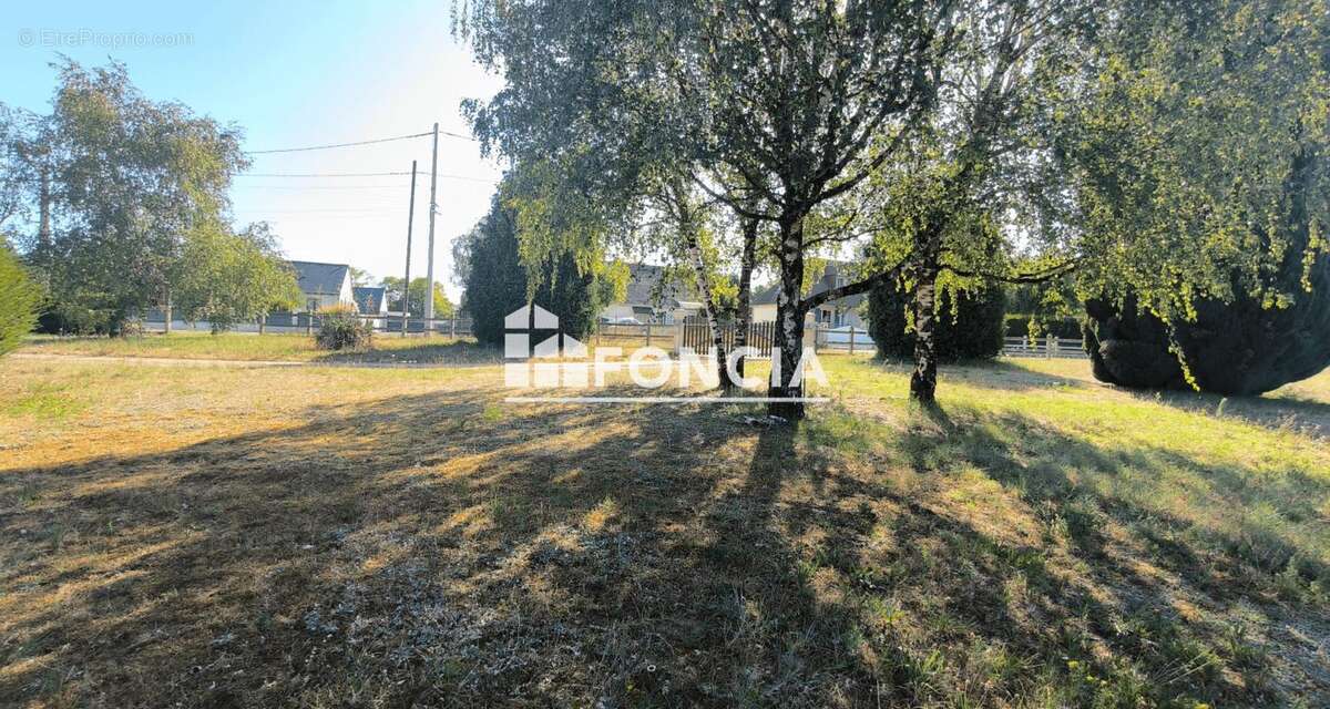 Terrain constructible - Lussault-sur-Loire - photo 2