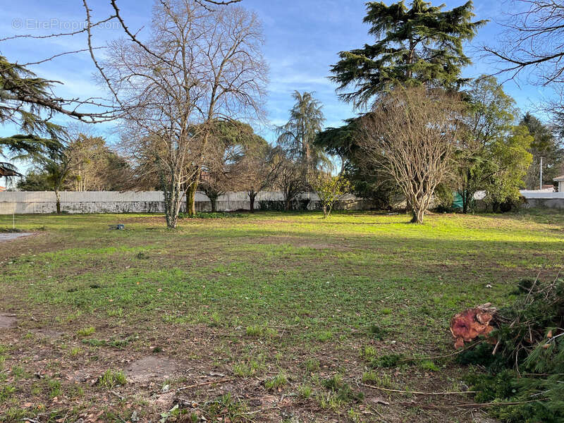 Terrain à LIBOURNE
