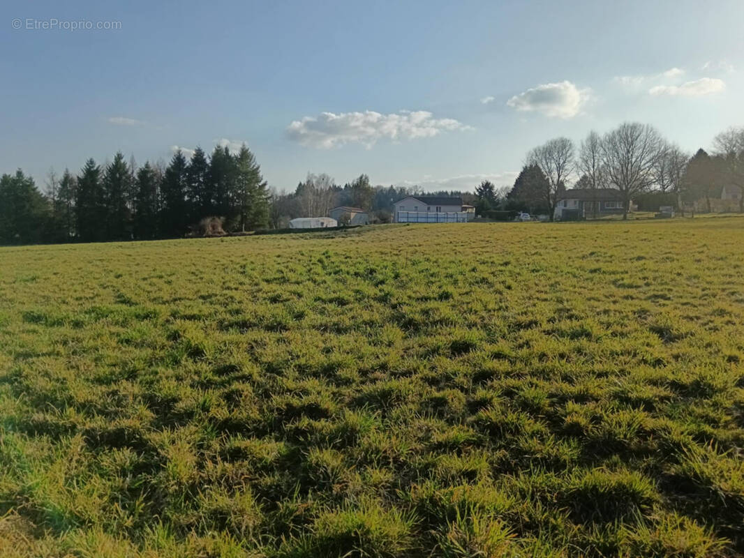 Terrain à SAINT-JOUVENT