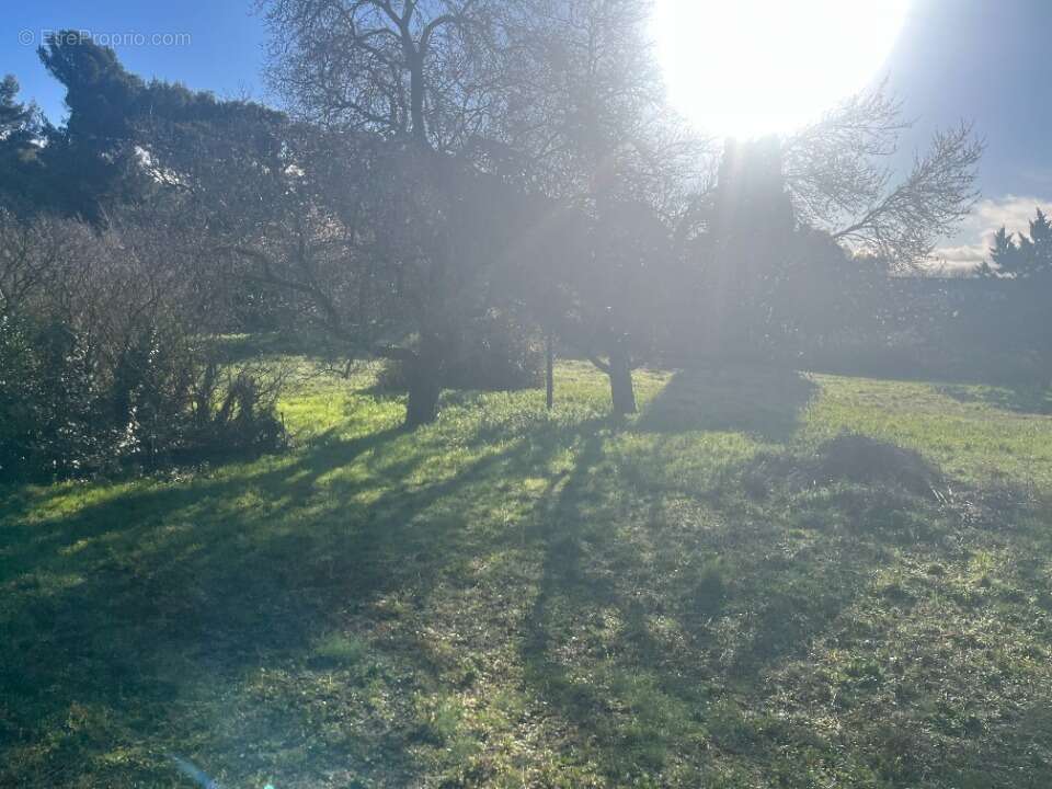 Terrain 970 m² à Cabries  - photo 2