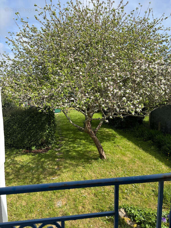 Maison à CLOHARS-CARNOET
