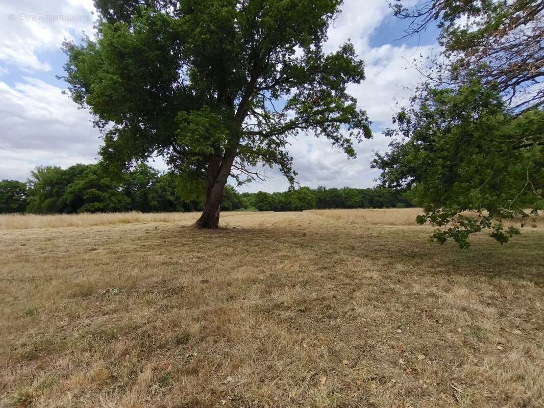 Maison à ROMORANTIN-LANTHENAY