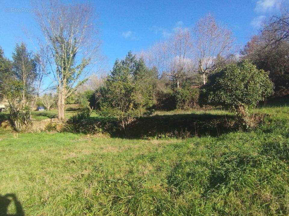 Terrain à SALAVAS