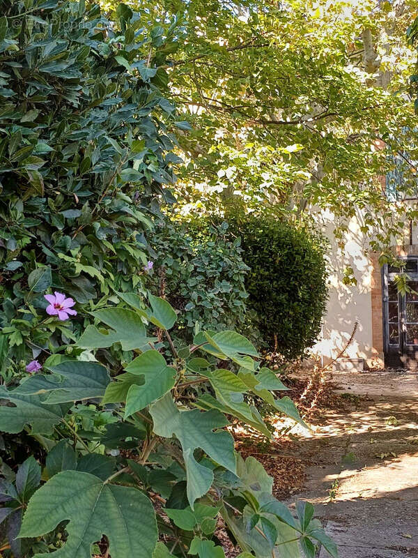 Maison à VEDENE