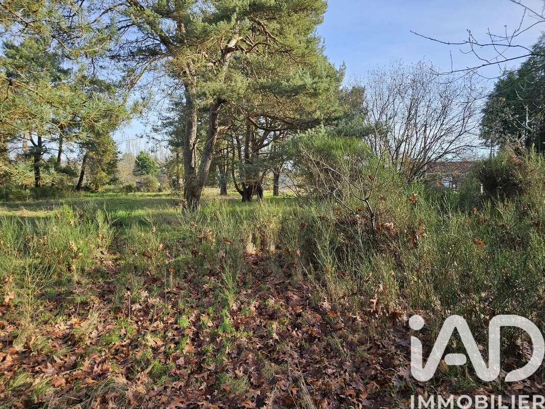 Photo 4 - Terrain à VIEILLES-MAISONS-SUR-JOUDRY