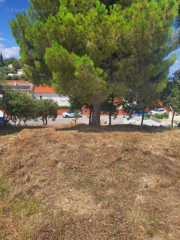 Magnifique terrain de 710 m2 avec vue Mer - photo 4