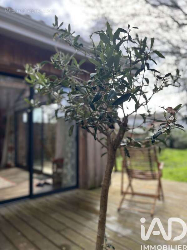 Photo 7 - Maison à BIGANOS