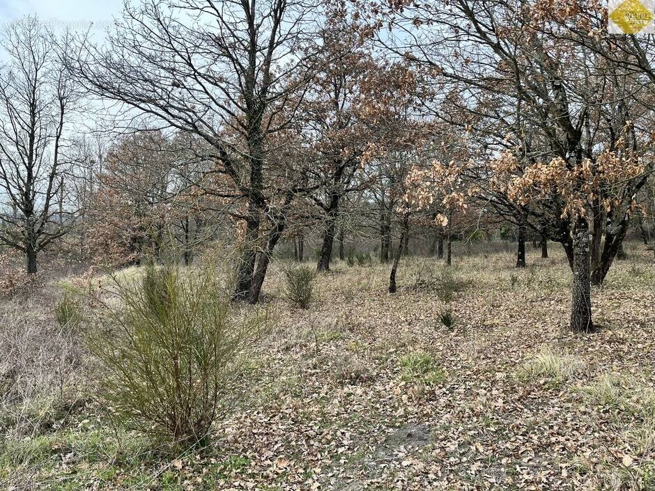 Terrain à YZEURES-SUR-CREUSE
