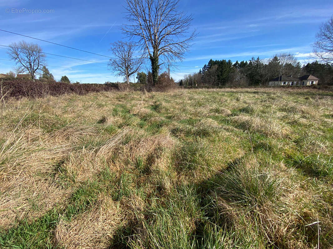Terrain à SAINT-YRIEIX-LA-PERCHE