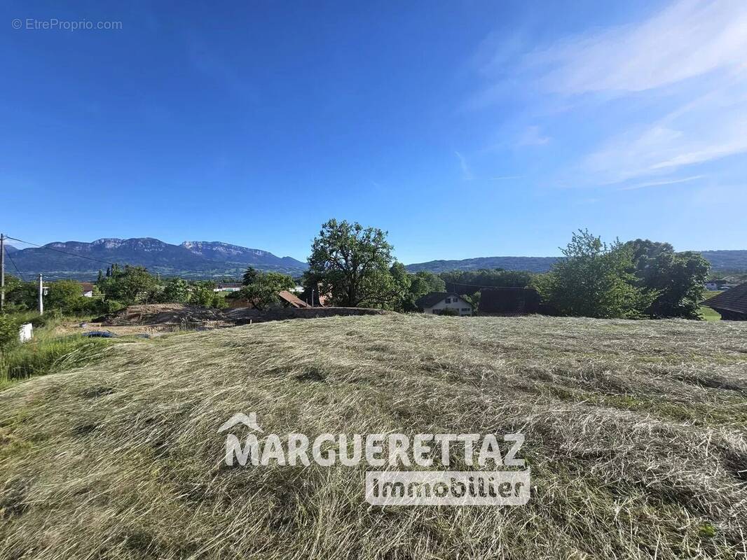 Terrain à SCIENTRIER