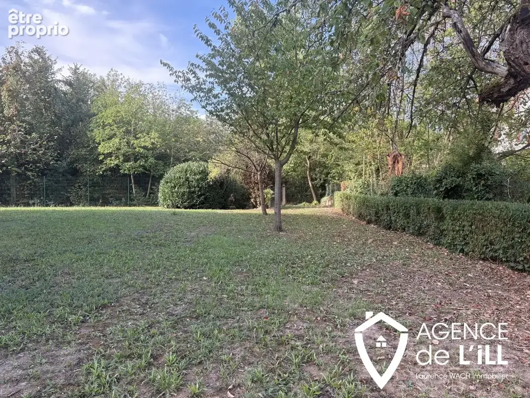 Sélestat   Résidence Le Muhlbaechel   Agréable 3 pièces de 65 m2 avec terrasse plein sud - photo 7