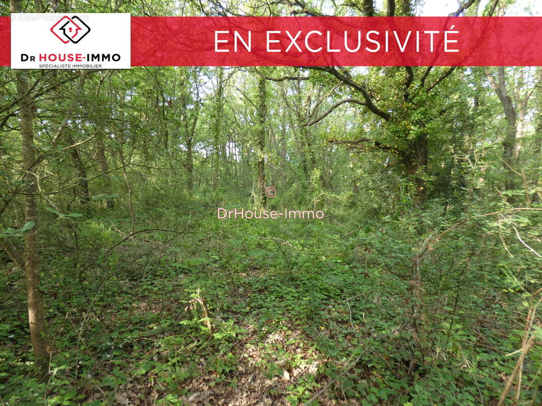 Terrain à BOURCEFRANC-LE-CHAPUS
