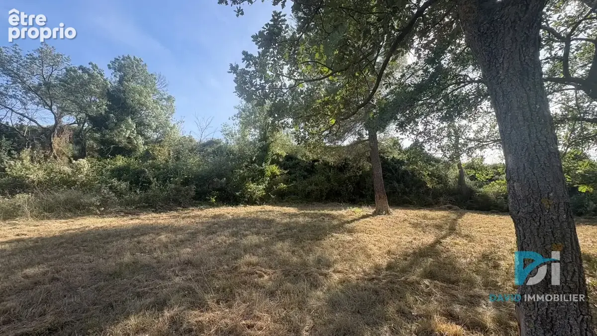 Terrain agricole - photo 5